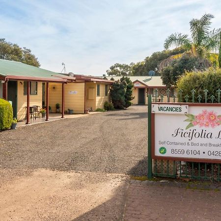 Ficifolia Lodge Parndana Экстерьер фото