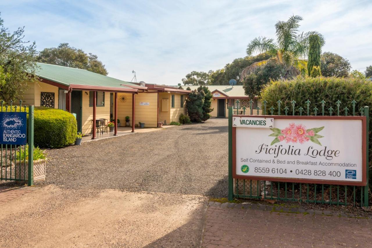 Ficifolia Lodge Parndana Экстерьер фото