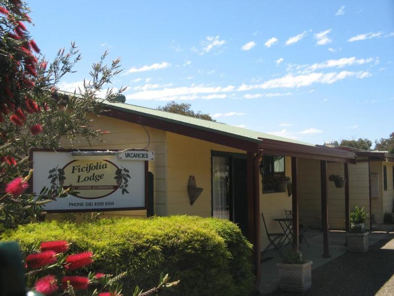 Ficifolia Lodge Parndana Экстерьер фото
